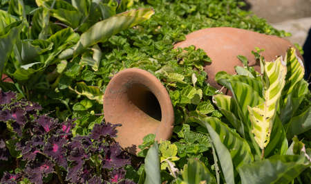 Fallen decorative pot surrounded by various plantsの写真素材