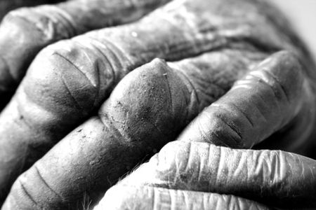 chimpanzee hands close-upの写真素材