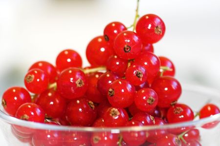 red currants