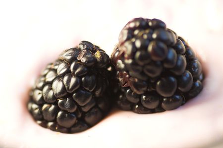 blackberry dessertの写真素材