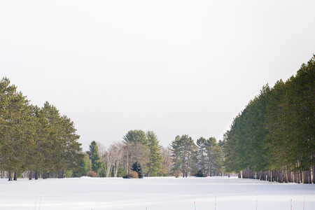 Winter Landscapeの写真素材