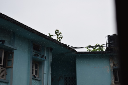 building weatherの写真素材