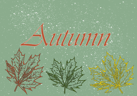 Maple leaves and the word autmnのイラスト素材