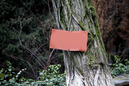 a rusty red signboard on an old-timer treeの写真素材
