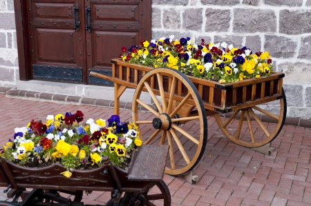 Wooden cart inside the flowers in capital ankara turkeyの写真素材