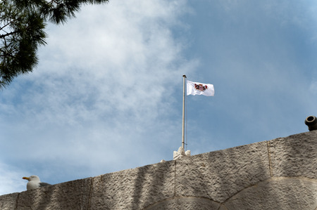 Flag of Monaco Royal Family in the Castleのeditorial素材
