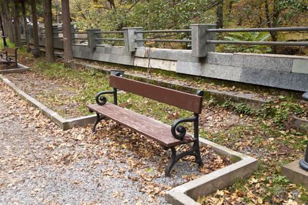 Red Fall Leaves and Bench Yellow forest in Park Borjomi Georgiaの写真素材