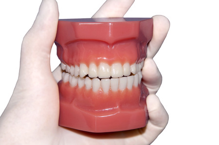 hand show teeth moldの写真素材