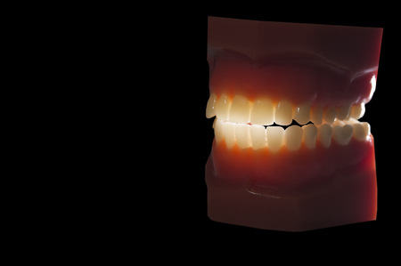 dental teeth mold backlight