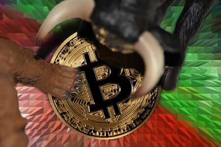 bear and bull market concept illustrationの写真素材