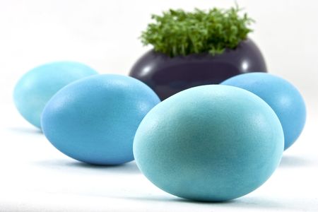 blue easter eggs with fresh cress