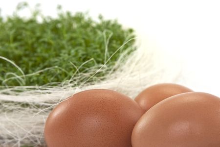 fresh eggs with green cress in basketの写真素材