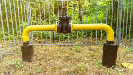 Gas industry. The locking device of the gas pipeline passing in the wood and brought outside, protected by a fence for safety. Gas distribution station in the forest. Yellow gas pipeの写真素材