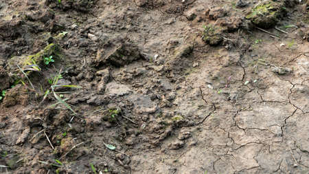 Dried cracked earth soil ground texture background. Environmental disaster. Drought. A close up of...