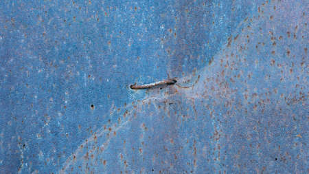 Old scratched steel texture. Grunge rusted metal texture, rust and oxidized metal background. Old metal iron panelの写真素材