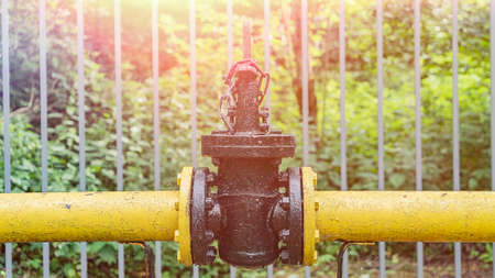 Gas industry. The locking device of the gas pipeline passing in the wood and brought outside, protected by a fence for safety. Gas distribution station in the forest. Yellow gas pipeの写真素材