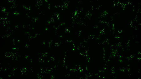 Abstract dots background. Green illuminated particles. Depth of field settings. Abstract lighting,...