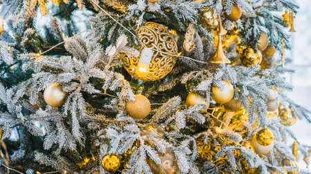 Christmas and New Year interior in light classic style. White room with Xmas Tree decorated, flashing garland, golden balls. Bright New Year celebration dÃ©cor. Winter Holiday Backgroundの写真素材