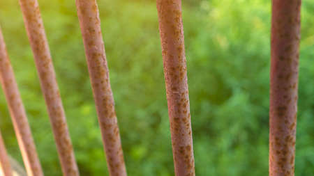 Brown rusty rods of old demolished bridge in green park closeup. Metal grid against green overgrowth. Abandoned construction in wood. country structureの写真素材