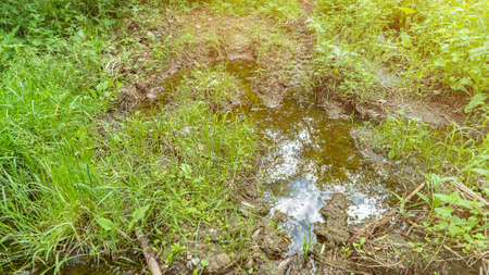 Puddle and mud on grassy ground on spring day closeup. Wet dirt after heavy rain. Countryside nature...