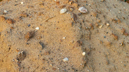 Large wet sand heap with small rocks at sunset light macro view. natural material for building construction. Beach ground texture. summer eveningの写真素材