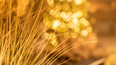 Dry fluffy flowers bouquet lit by golden light closeup. Simple windflowers bunch with thin twigs and spikes in room. Natural decorative element for cozy domestic atmosphere creationの写真素材
