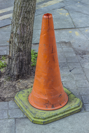 Orange traffic cone and treeの写真素材