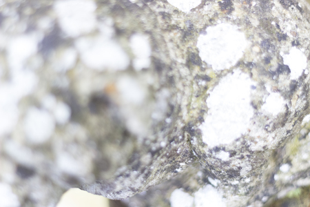 Background of stone with shallow depth of fieldの写真素材