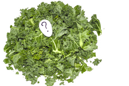 Leaves of fresh kale on white background with question marks egg.の写真素材