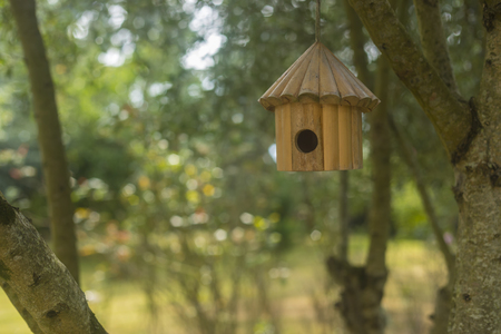 Little bird nest home hanging on a treeの写真素材