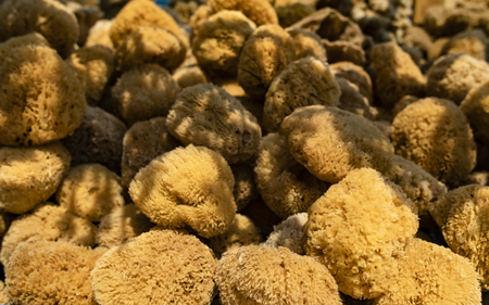 View of a street market stand of natural marine sea sponges collected by the fishermen in the sea.の写真素材