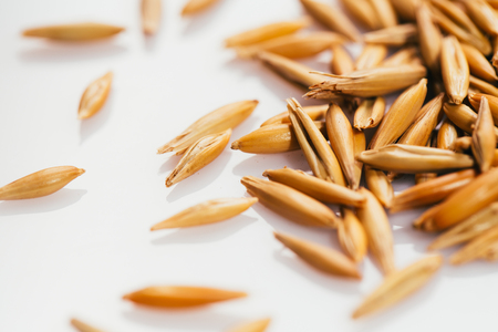 grains of oats on a white background.の写真素材