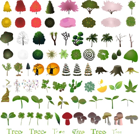 One hundred tree graphic design elements for icons and logos のイラスト素材