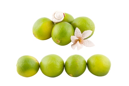 Lime collection isolated on whiteの写真素材