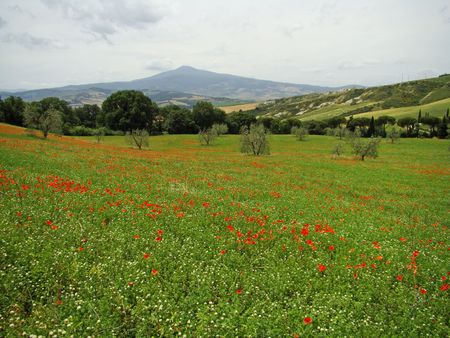  Volcano mount Amiata and tuscan spring scenery                               の写真素材