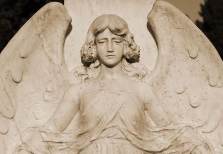 protectorの写真素材