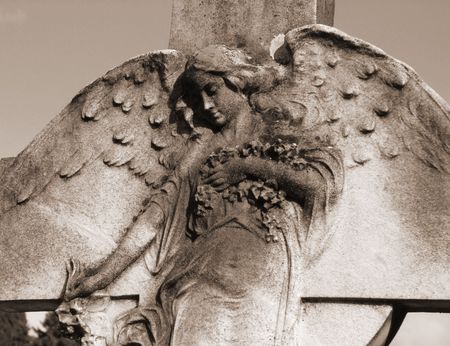      memory                           の写真素材