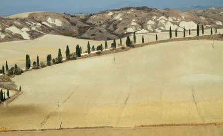 lunar and desert like  landscape of Crete Senes with the Accona Desert region   , italian region of Tuscany to the south of Siena, Europeの写真素材