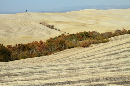 landscape of Crete Senese region in Tuscany, Italy, Europeの写真素材
