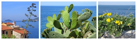 images of Mediterranean, Tellaro village ,Liguria, Italy, Europeの写真素材