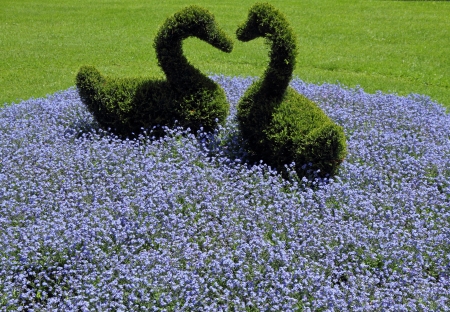 flowerbed with two green shaped swans in Garden of Villa Carlotta, Tremezzo, lake Como, Lombardy, Italy, Europeの写真素材