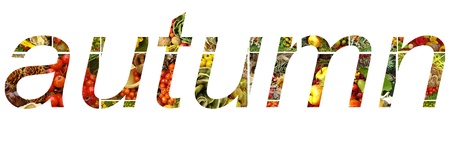 autumn lettering made of vegetable compositionsの写真素材
