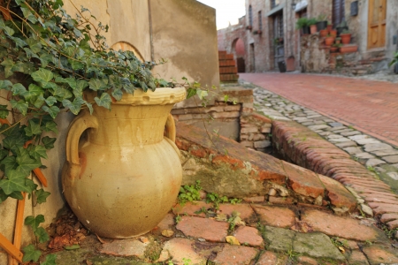 flower vase with ivy creeper and tuscan street, Italyの写真素材
