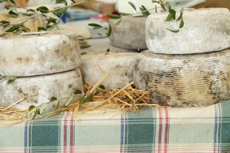 cheese wheels on tuscan farmers market, Florence, Tuscany, Italy, Europeの写真素材