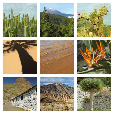 images of wonderful Tenerife island collage の写真素材