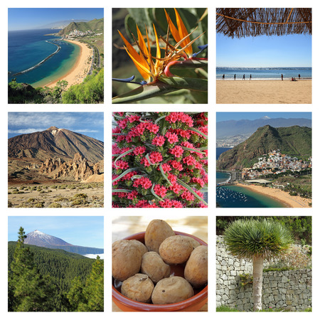 images of fantastic Tenerife island - collageの写真素材