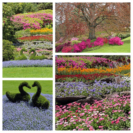 romantic, colorful flowering garden in spring time- images from fantastic parks on lake Como, Italyの写真素材