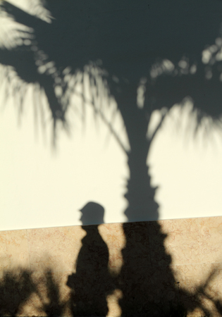 shadow of palm tree and tourist projected on wallの写真素材