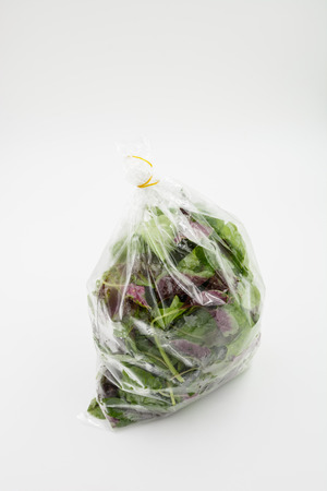 green organic spanich vegetable on white backgroundの写真素材