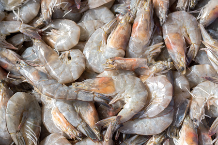 Fresh shrimp on tray in local marketの写真素材
